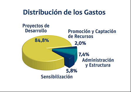 Memoria 2013_Distribución de gastos_Manos Unidas