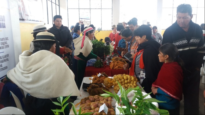 Exposición de derechos y emprendimientos agropecuarios en la que hemos participado a través del Convenio Ecuador de Manos Unidas y la Cooperación Española FOTO Organización de mujeres San Francisco Cuatro Esquinas/Manos Unidas