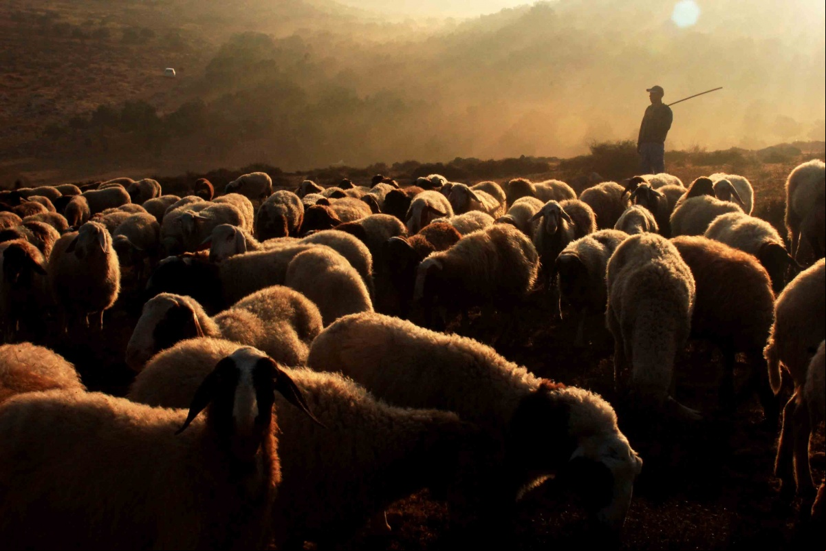 TERCER PREMIO Categoría Profesional #InspireChange Ahmad Al-Bazz (Jordania).