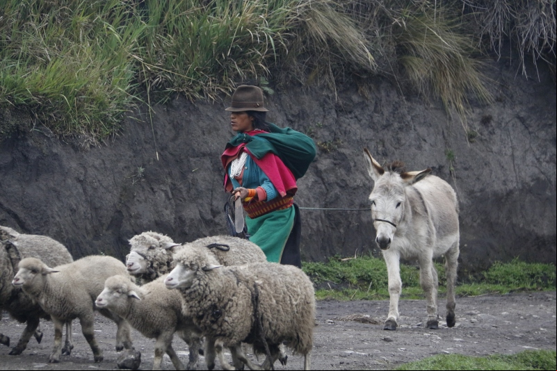 Mujer y cambio climático, en defensa de la tierra. Foto:Manos Unidas/AnaPérez