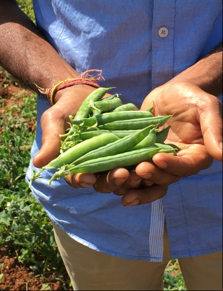 Badibahal, India - Foto Ana Luna Manos Unidas - Hambre y pobreza