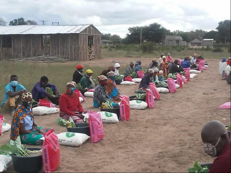 Personas desplazadas por el conflicto de Cabo Delgado. Foto: Diócesis de Nacala/Manos Unidas