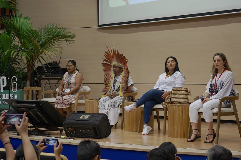 Declaraciones sobre los Derechos de la Amazonia durante la COP16. Fotografía UN Biodiversity  COP16