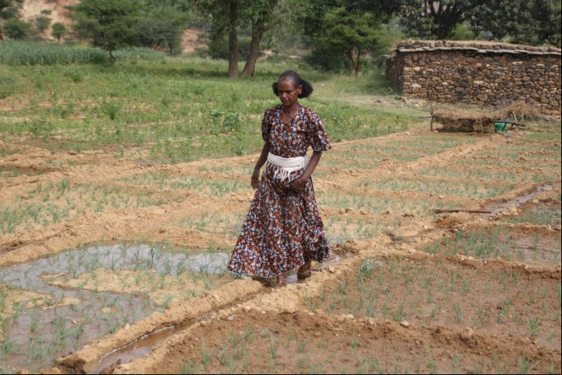 Derecho a la alimentación en África. Foto:Manos Unidas/Marta Carreño en Etiopia 