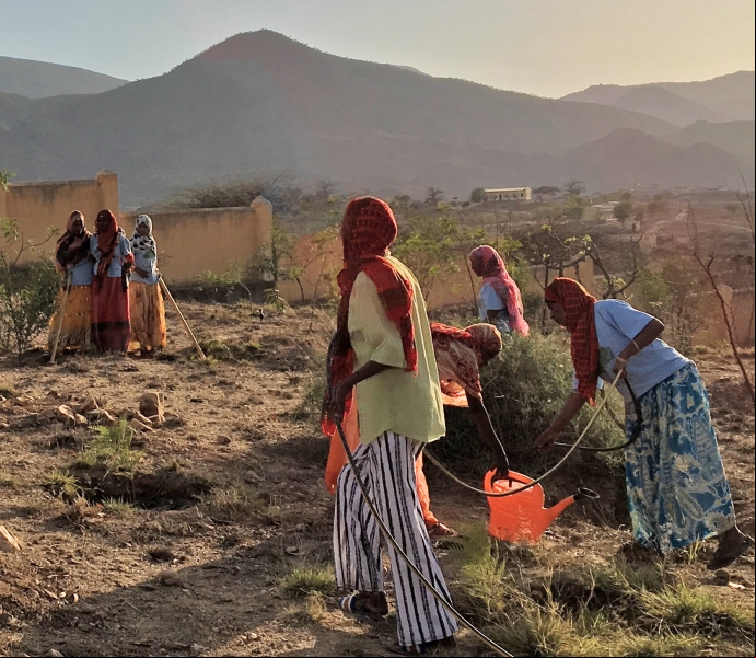 Eritrea  - Foto Goril Meisingset - Manos Unidas