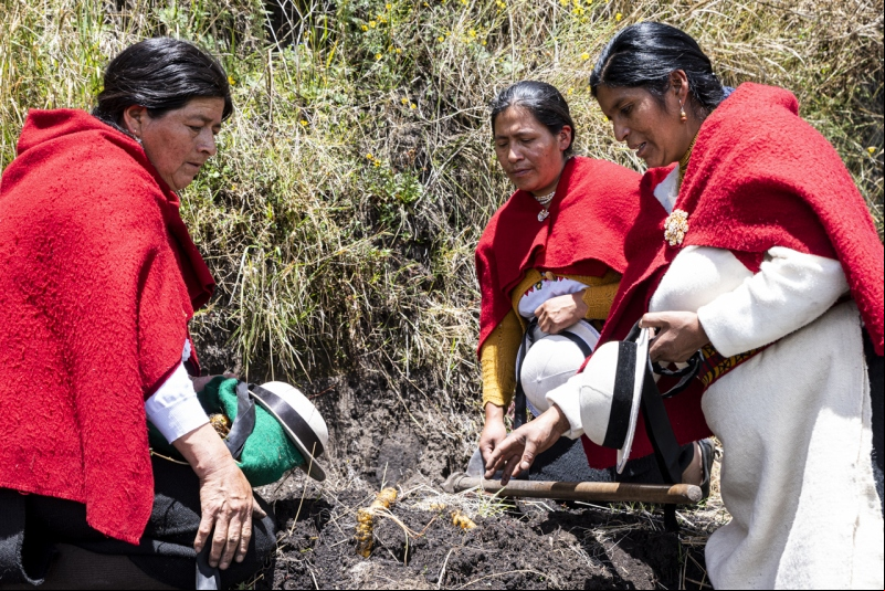 Ecuador - Foto Josep Vecino - Manos Unidas