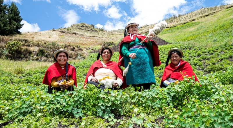 Ecuador - Manos Unidas - Foto Josep Vecino