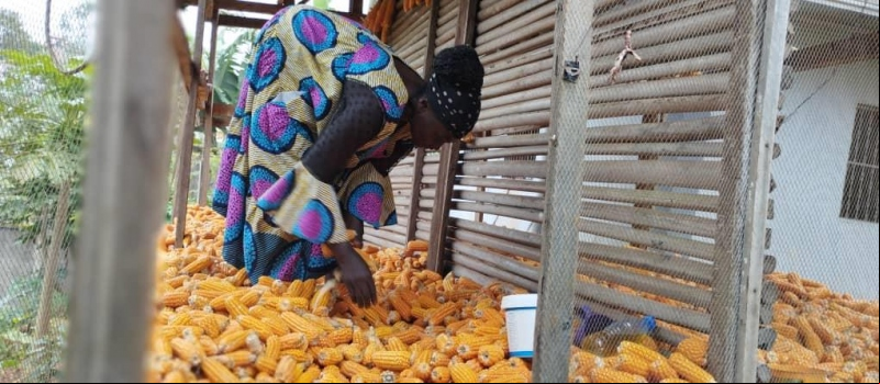 Mujer agricultora en Camerún. Foto: Manos Unidas