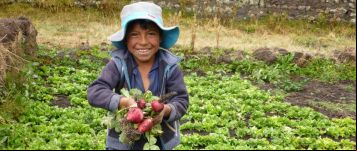 Perú