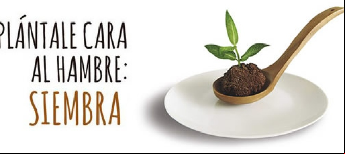 Plántale cara al hambre: siembra