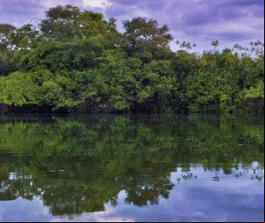 Quico Taronjí en la Amazonia