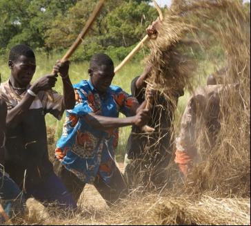 Jóvenes africanos: el desafío de cambiar su historia