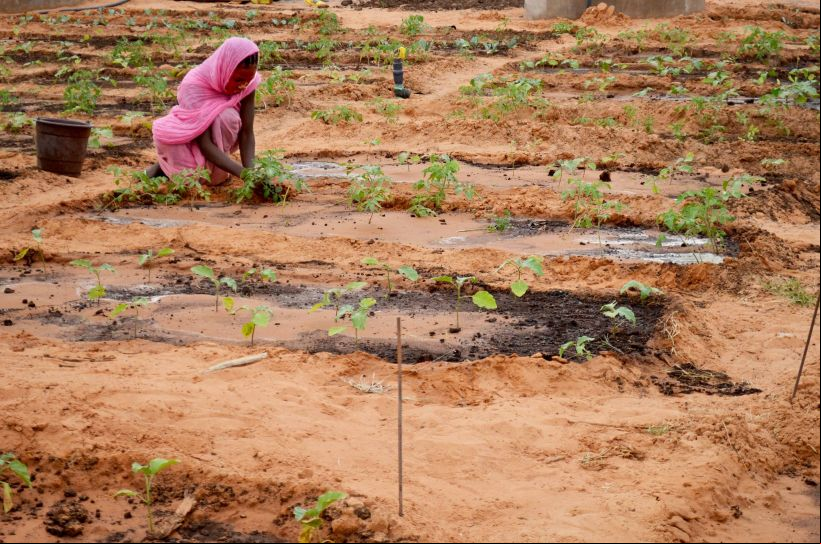 El hambre vuelve a aumentar_Foto:Manos Unidas/Myriam Sagastizabal en Mauritania