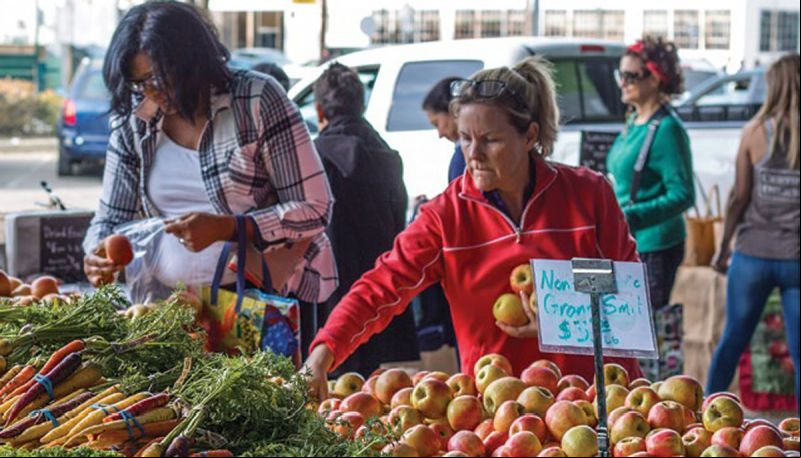 La agroecología es un concepto multidimensional que afecta al: medio ambiente, aspectos socioculturales, y cuestiones económicas y políticas.. FOTO CIDSE
