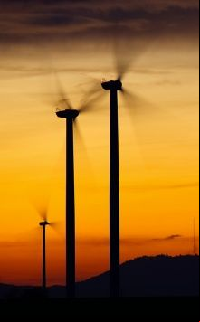 El paradigma tecnocrático, foco del último punto del Decálogo Verde de la campaña "si cuidas el planeta, combates la pobreza"