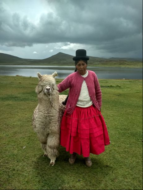 Mujeres productoras alpaca Foto: Manos Unidas/ Mariana Ugarte