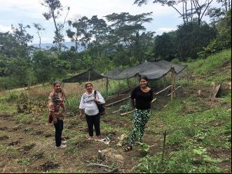Seguridad alimentaria para defensa y permanencia de los campesinos en sus territorios. Foto: Manos Unidas