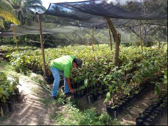 Promoción de redes de conocimiento y acciones de desarrollo sostenible ante el cambio climático, en comunidades rurales del municipio de Choloma, Honduras. Foto: Manos Unidas