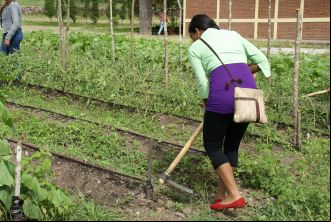 Gestión seguridad alimentaria y protección del agua