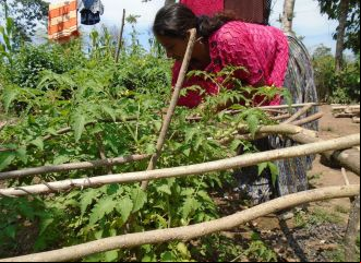 Soberanía alimentaria y desarrollo económico de comunidades indígenas 