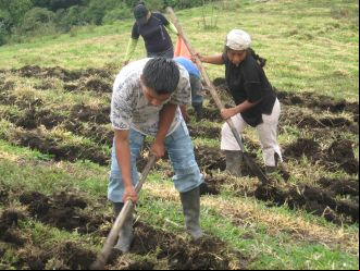 Soberanía alimentaria: fortalecimiento cultural y organizativo de pueblos indígenas