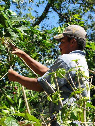 Agroecología y alternativas de desarrollo ante el cambio climático