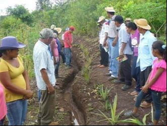 Consolidación y expansión de la agricultura sostenible en Veraguas