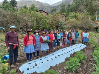 Comunidades alto andinas de Cusco, Perú. Foto: Manos Unidas