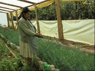 Mujer agrícola de Bolivia