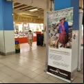 Exposición para sensibilizar contra las desigualdades en el Mercado de Sant Roc de Alcoi de la Campaña 63 de Manos Unidas. 