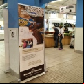 Exposición para sensibilizar contra las desigualdades en el Mercado de Sant Roc de Alcoi de la Campaña 63 de Manos Unidas. 