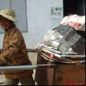 Camboya. Proyecto CSARO