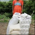 Mujer con sacos de arroz, Guatemala