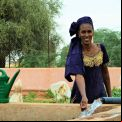 Huertos de esperanza en el desierto
