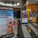 Exposición de Manos Unidas Valencia en el colegio El Pilar.