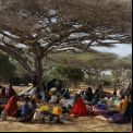 Sobrevivir en África