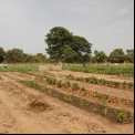 Senegal - Foto Manos Unidas 