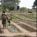 Senegal - Foto Manos Unidas 