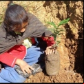 Día Mundial del Medio Ambiente 2020. Proyecto Manos Unidas en Quisqui (Perú). Foto: IDMA.