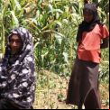 La madre y la hija de Halima