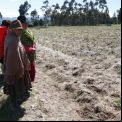 Mujeres productoras de Altramuz