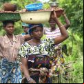 Mujeres africanas transportando karité
