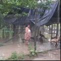 Huracán Tormenta tropical Eta - Guatemala y Nicaragua - Manos Unidas