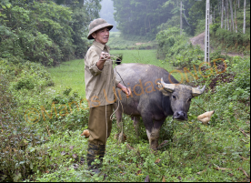 Manos Unidas ONG - Foto de Patricia Garrido en Vietnam