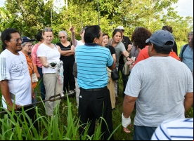 Manos Unidas ONG - Estrategia para la Panamazonía
