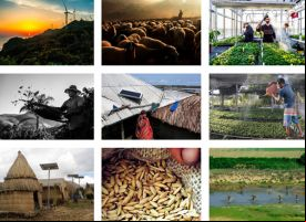 Mosaico de la Exposición fotos Inspira el Cambio #InspireChange