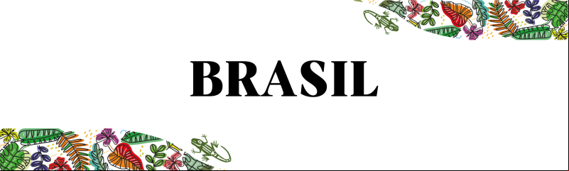 Manos Unidas ONG - Encuentro Panamazónico Ecuador 2023 -Brasil
