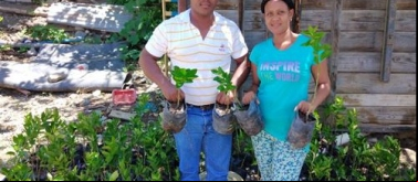 “MEJORA DE LAS CONDICIONES DE VIDA DE LA POBLACIÓN CAMPESINA DE TRES MUNICIPIOS DE LAS PROVINCIAS DE AZUA Y SAN JUAN, CONSOLIDANDO SU SEGURIDAD ALIMENTARIA MEDIANTE LA IMPLEMENTACIÓN DE UN SISTEMA PRODUCTIVO AGROECOLÓGICO. Fase I”
