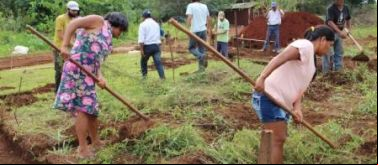Proyecto Manos Unidas Brasil