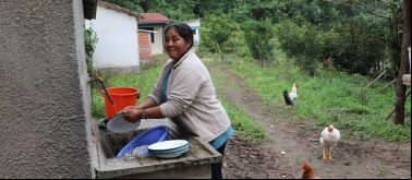 Seguridad y soberanía alimentaria mediante agricultura sostenible